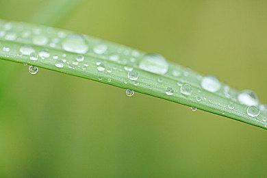 《龙之信条2》确定参加TGS 2023 将公布新实机演示