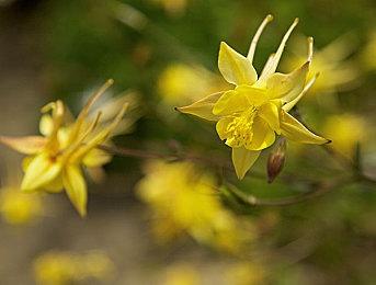 三上真司工作室首个手游《英雄骰子》将于8月底停止运营